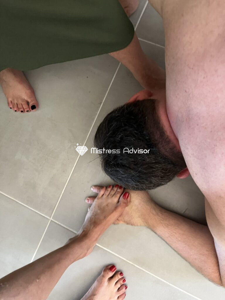 syria mistress novara